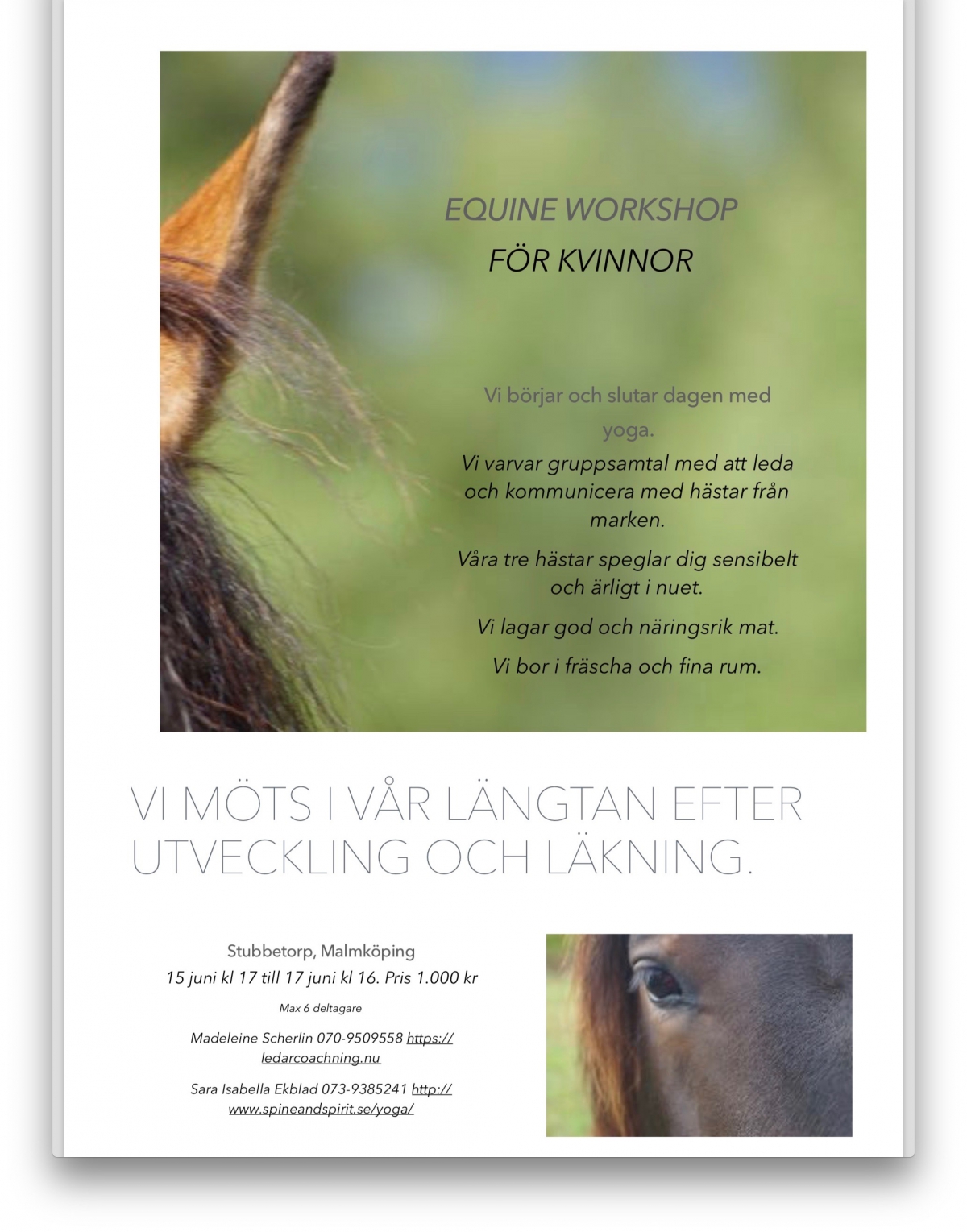 Equine workshop för kvinnor