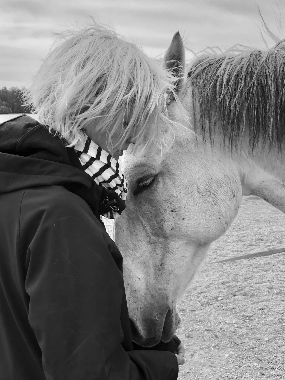 Horses and healing session